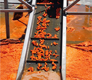 Food Processing Wastewater